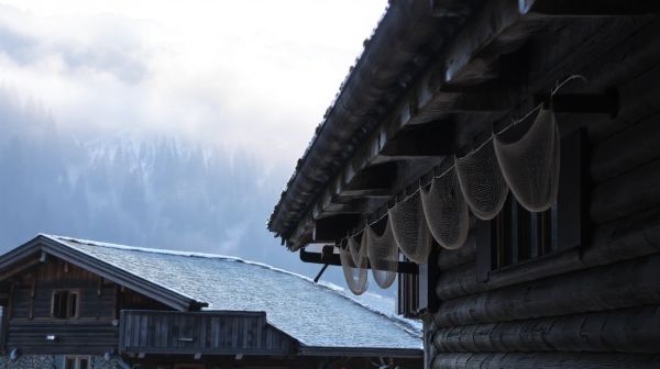 Top avantages des moustiquaires pour votre bien-être en Haute-Savoie